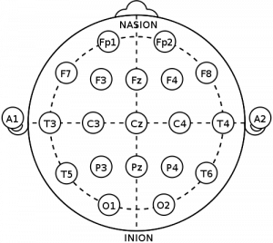 Electrode locations of International 10-20 system for EEG (electroencephalography) recording. Courtesy of Wikimedia Commons.