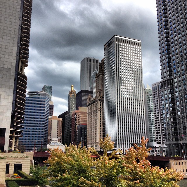 Chicago, October 2013. 