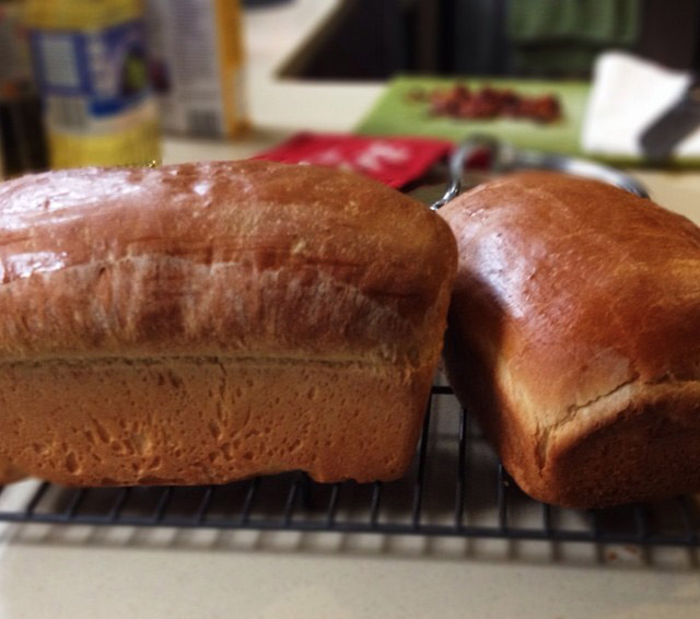 Recipe: White Bread (Throbbing Manor variation)