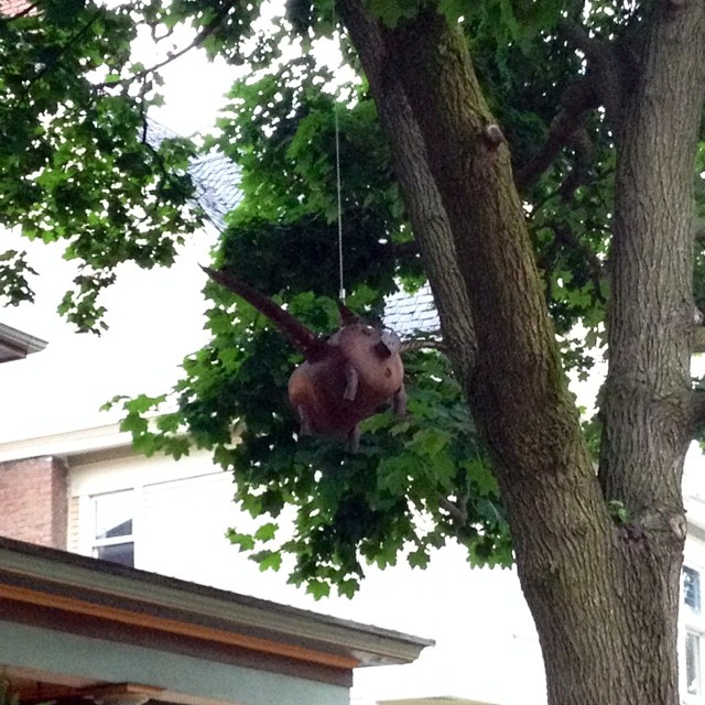 daily walk: steam punk pig in a tree