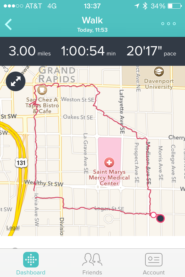 fitbitwalk-july12