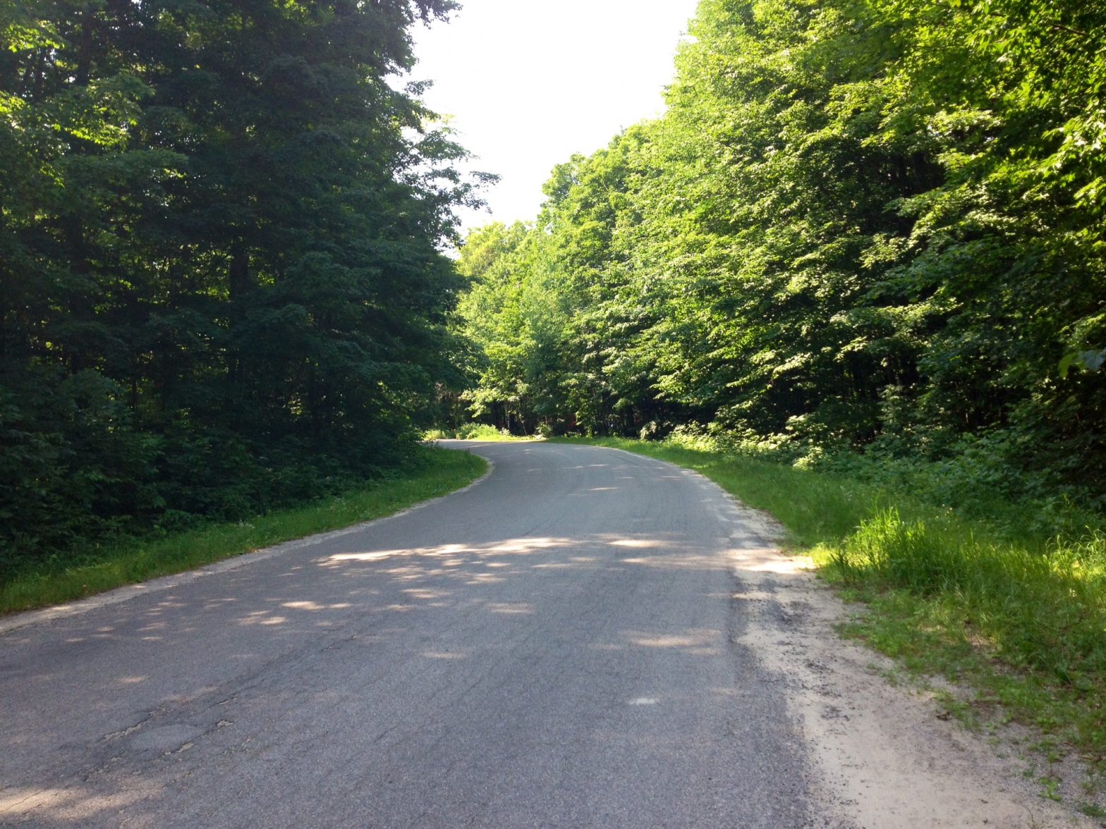 daily walk: sugar maple drive